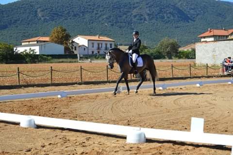 Sexta Fase del Campeonato Navarro de Doma Clásica en Acedo